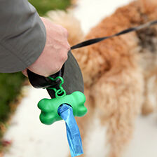 hand holding leash with poop bag holder attached